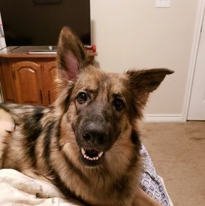 Meet your Posher, Lawanna